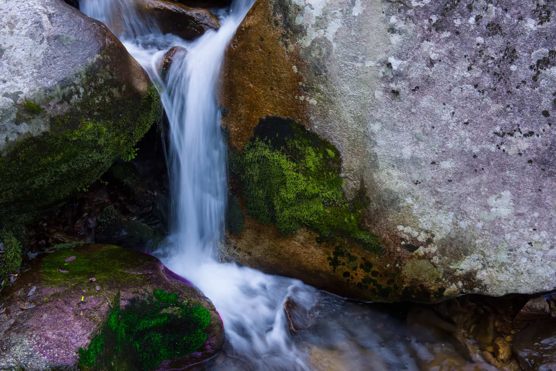 DSC_3405.jpg