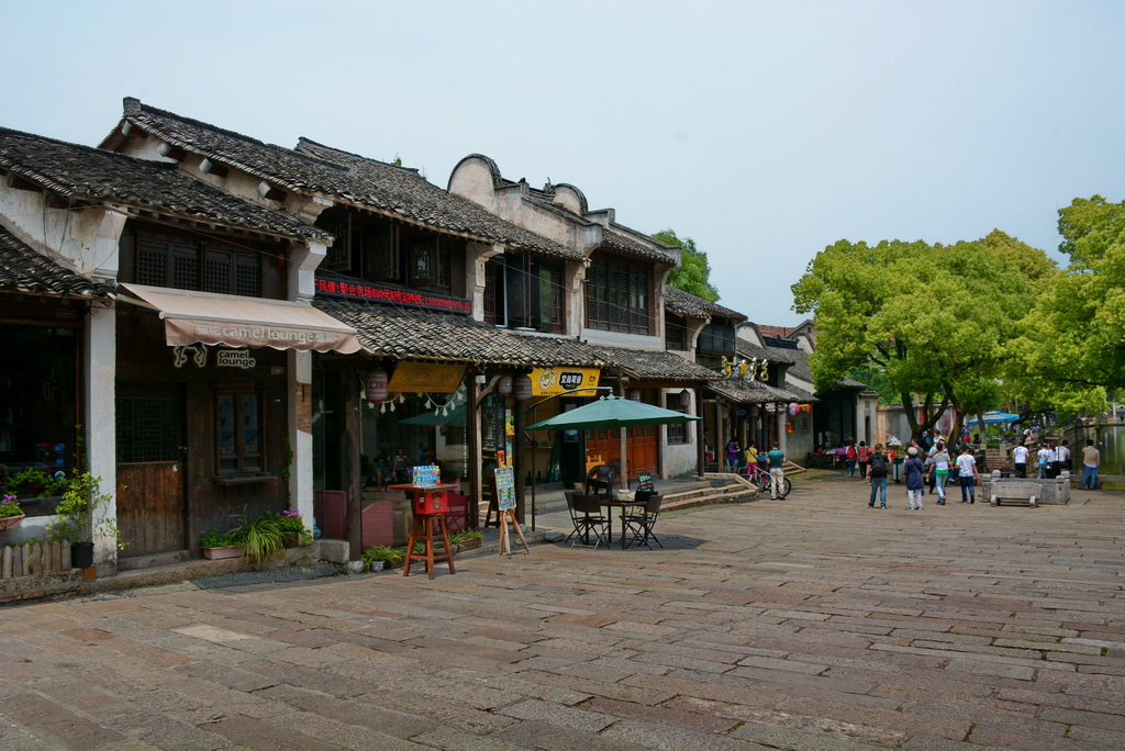 照片 795.jpg