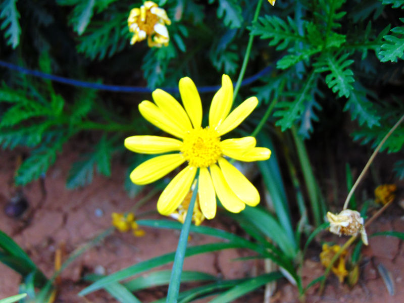 DSC00596_副本.jpg