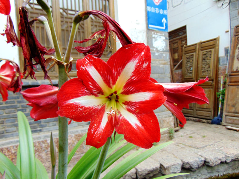 DSC00702_副本.jpg