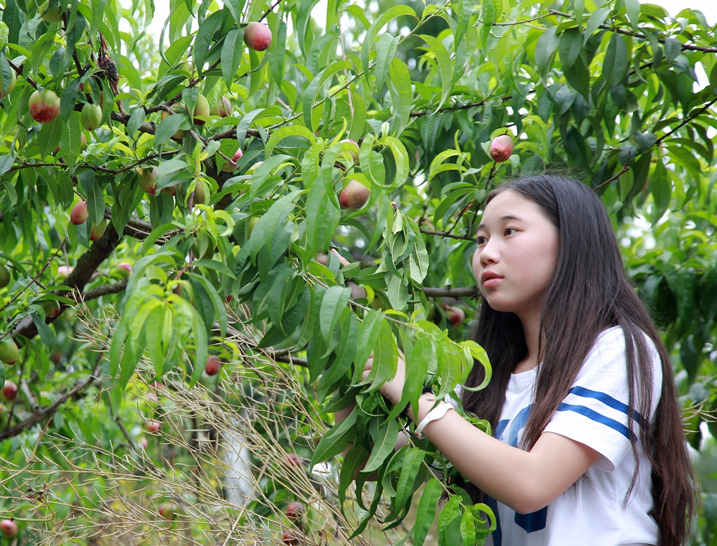 D34A0076_副本_副本_副本.jpg
