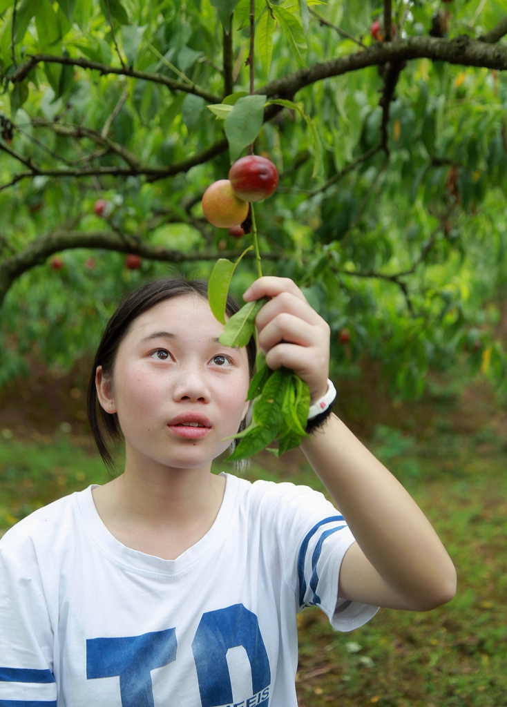 D34A0029_副本_副本.jpg