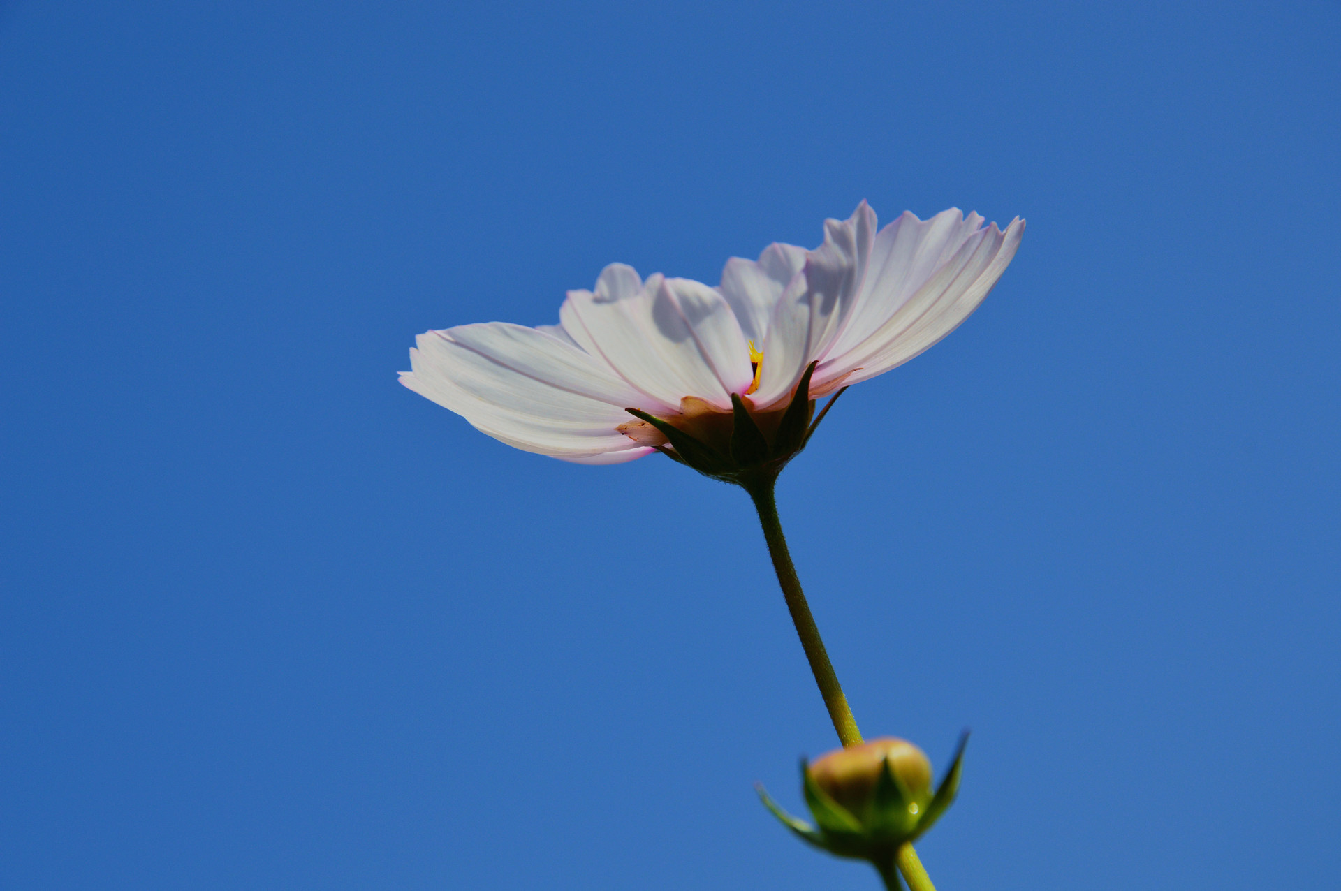 DSC_0069_.jpg