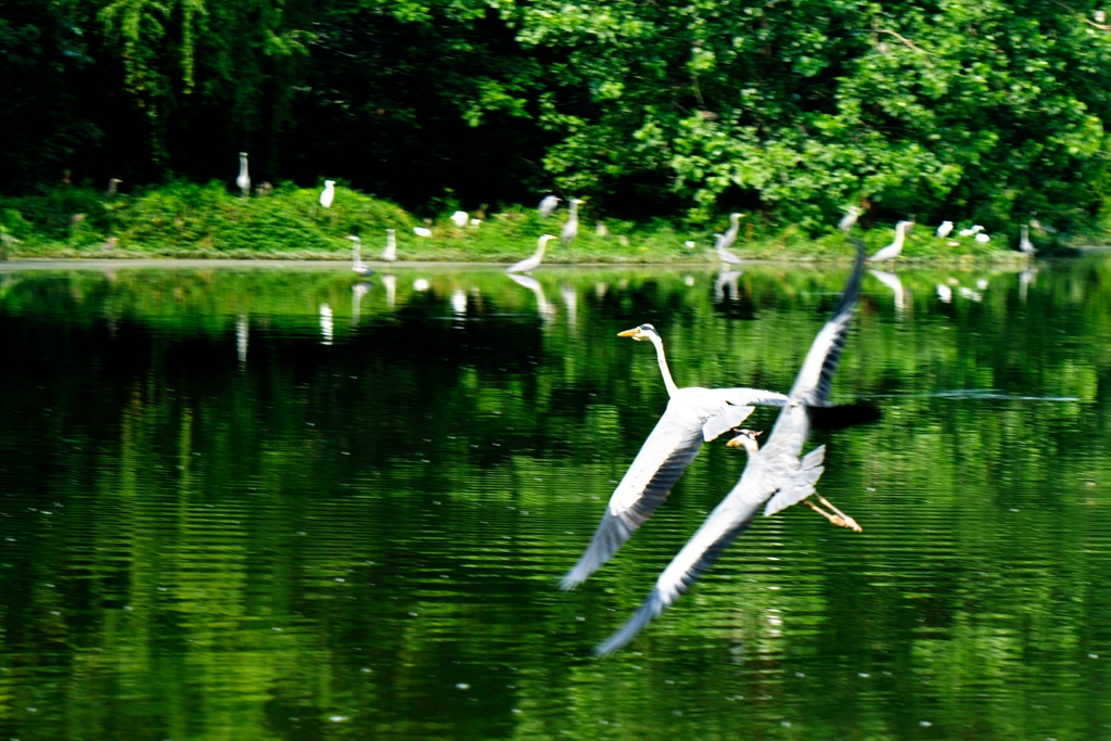 DSC_3789副本.jpg