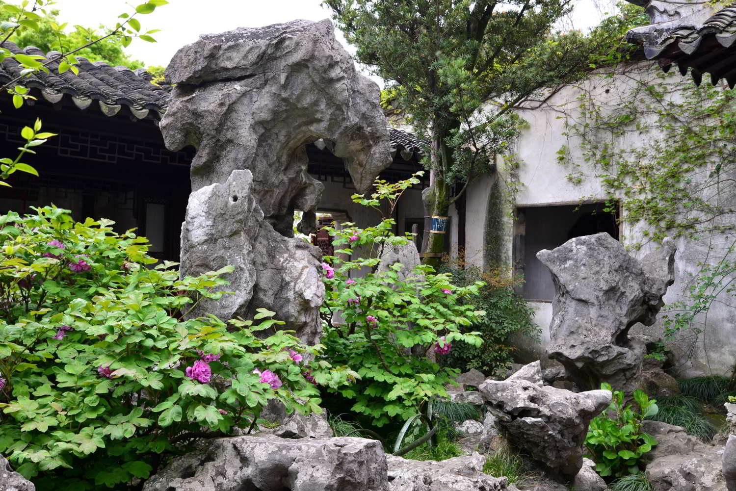 QPG_6866_060.JPG