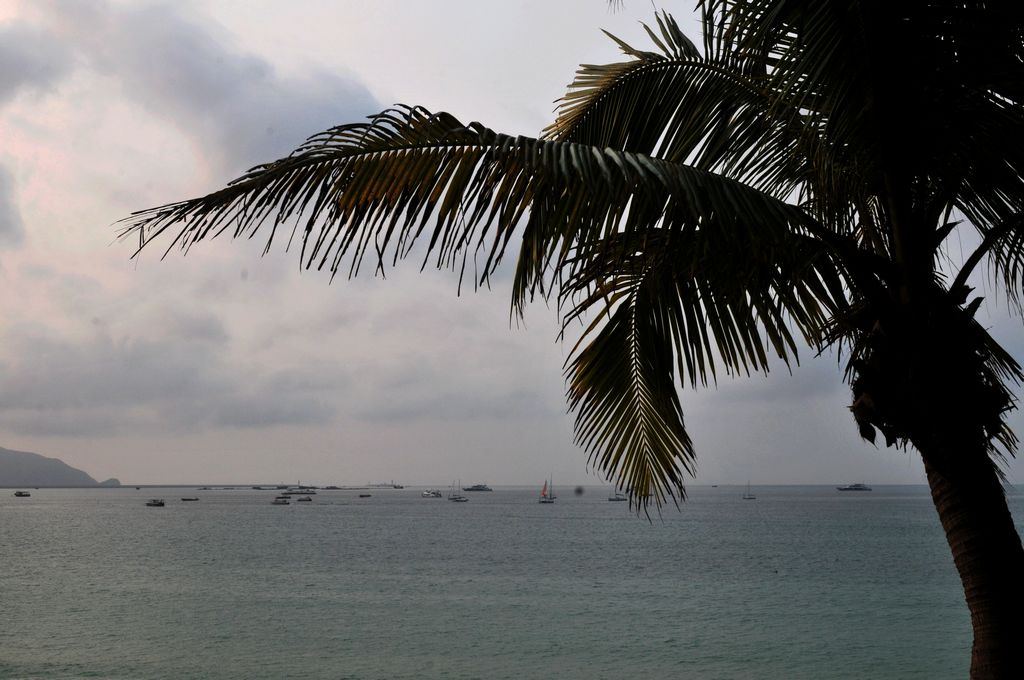 DSC_1147A.jpg