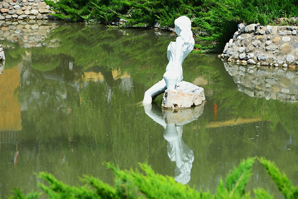 DSC_4794.JPG