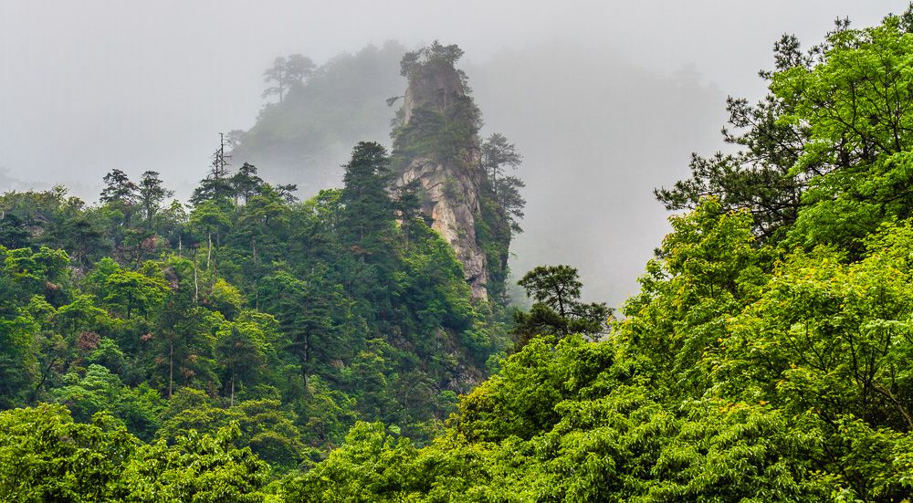 20150517-_MG_9653_副本.jpg