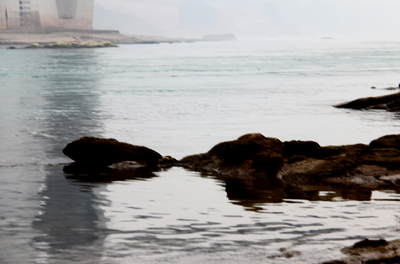 IMG_2917--2_副本.jpg