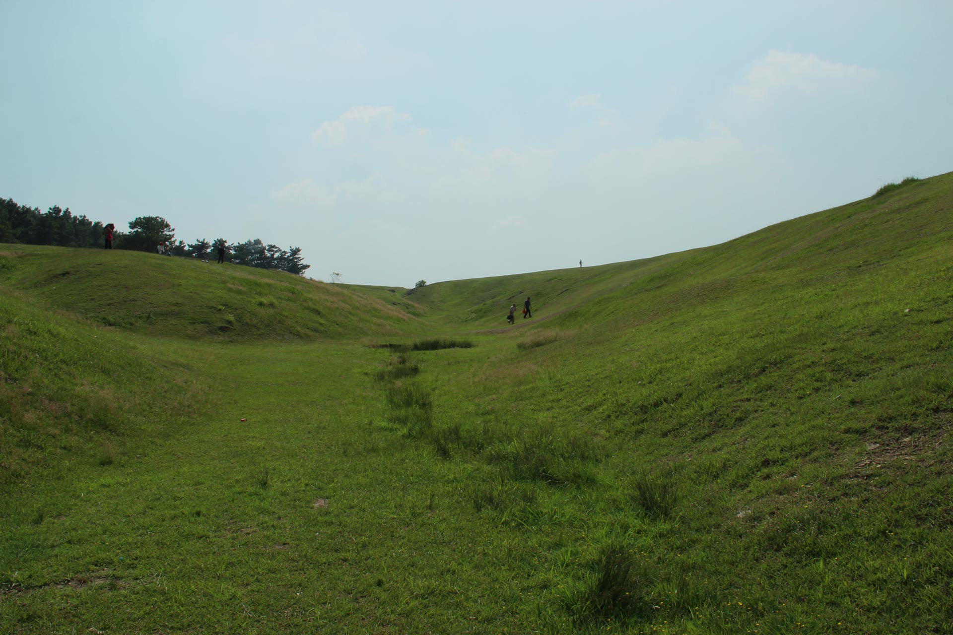 IMG_11541.jpg