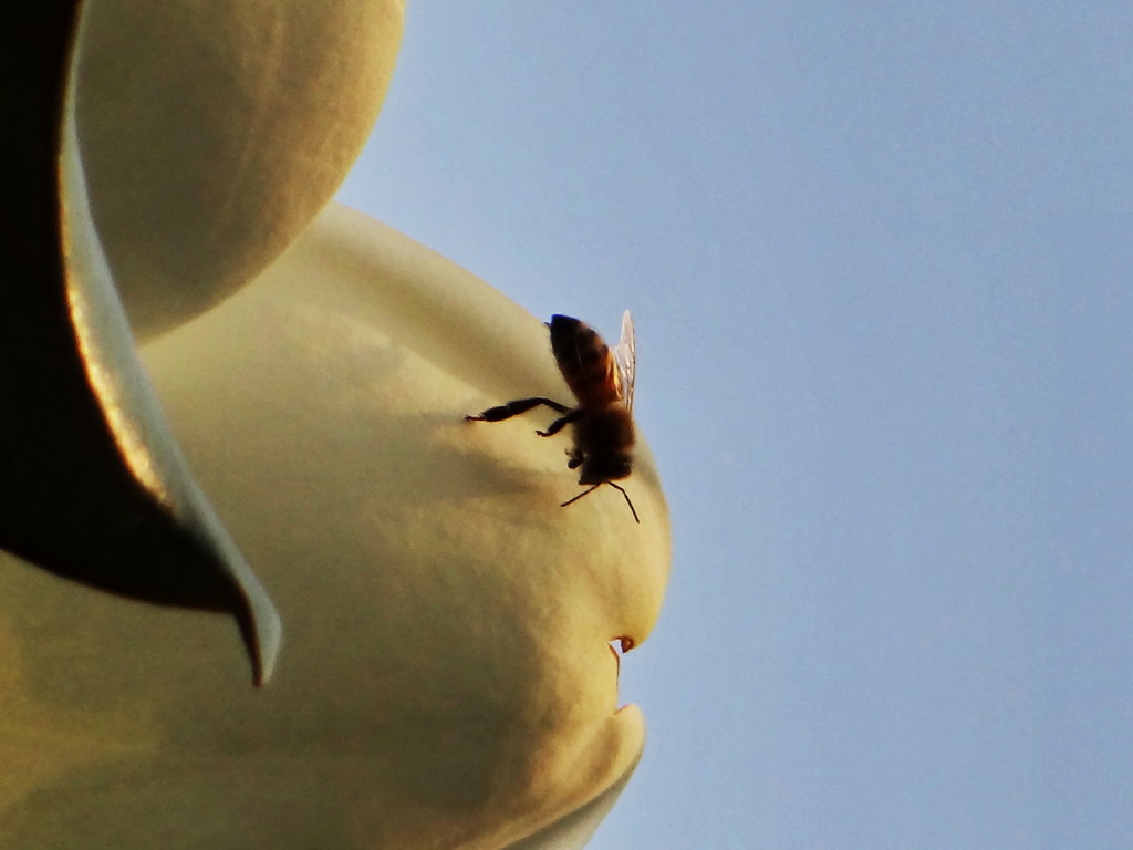 DSC00816.JPG