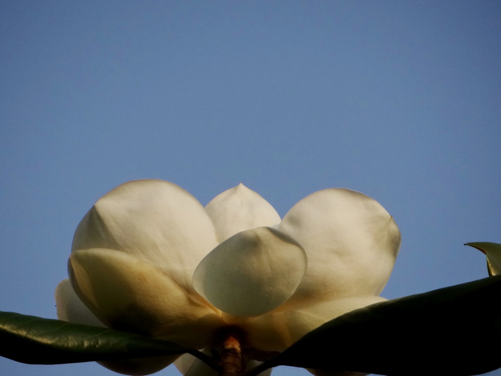 DSC00834.JPG