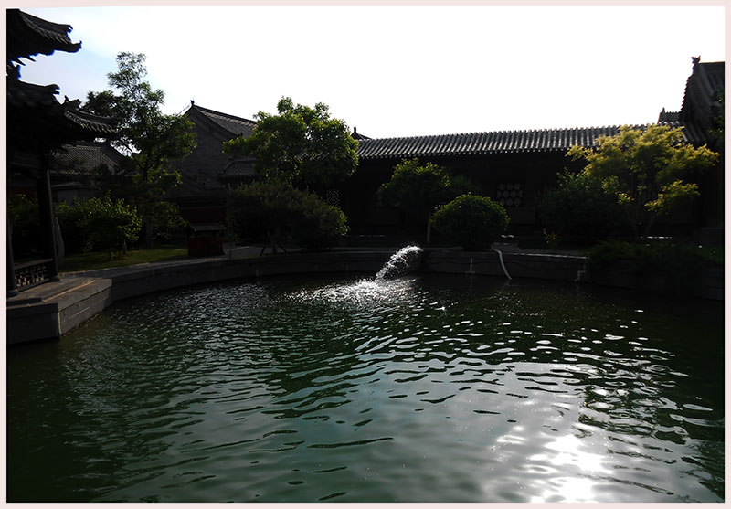 DSCN8575.JPG