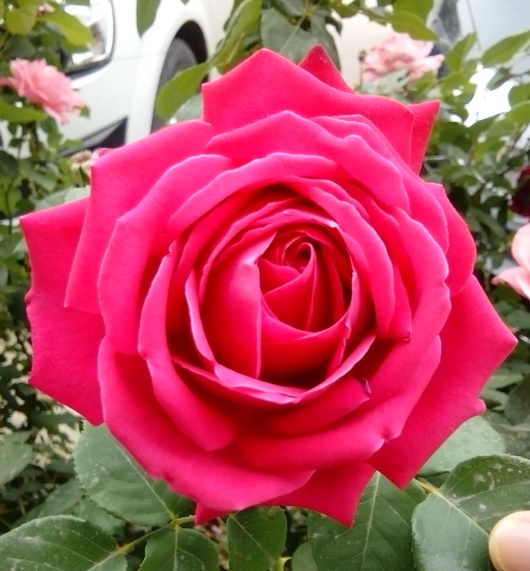 IMG_20150522_222553.JPG