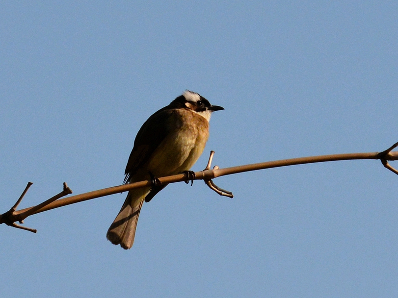 DSC_3037_副本_副本.jpg