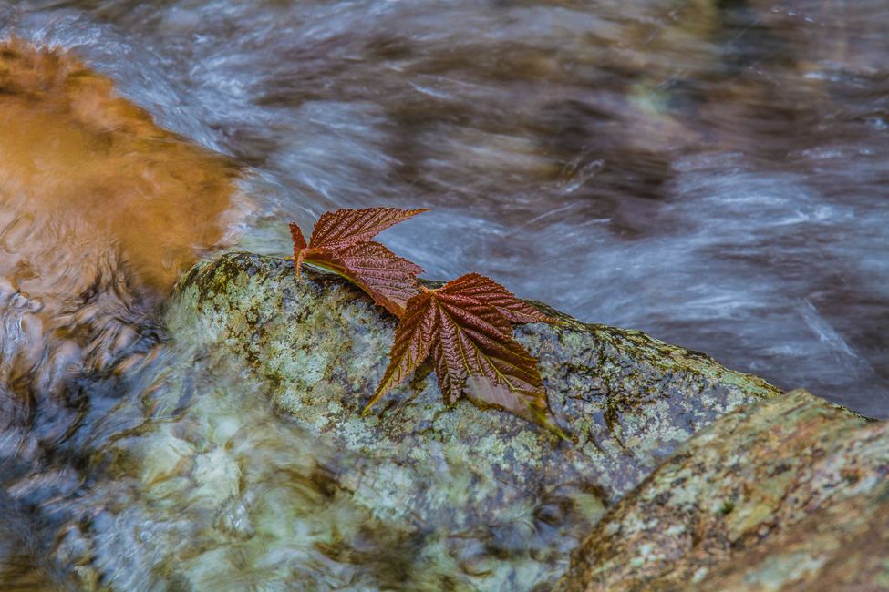 20150516-_MG_9617-2_副本.jpg