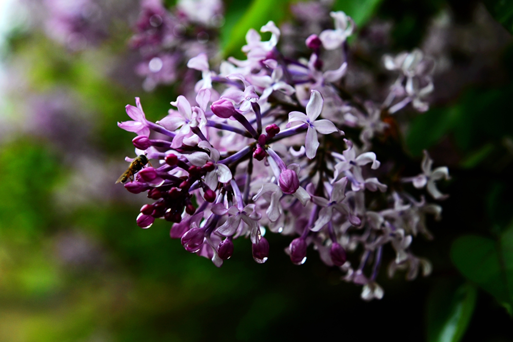 DSC_3312.jpg