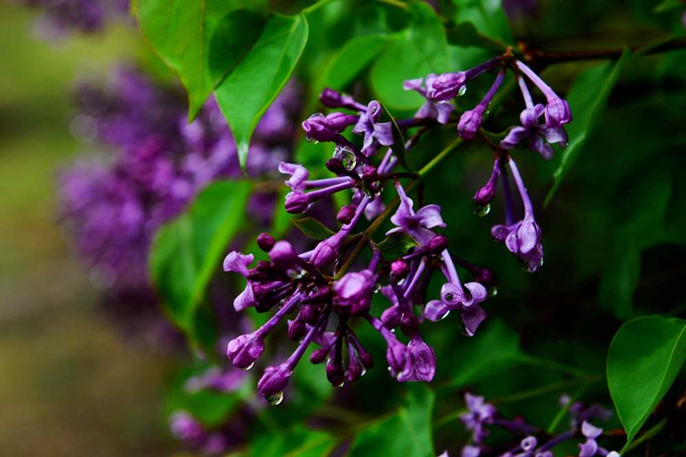 DSC_3313.jpg