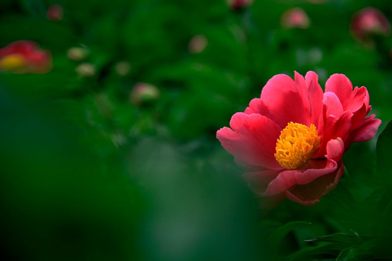 _MG_5828.jpg