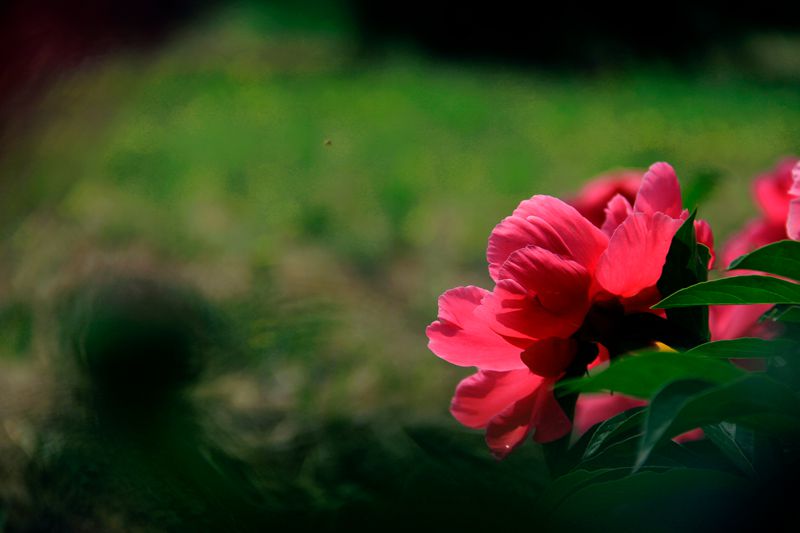_MG_5875.jpg