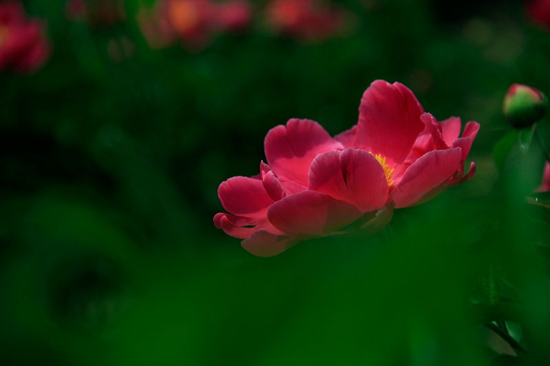 _MG_5858.jpg