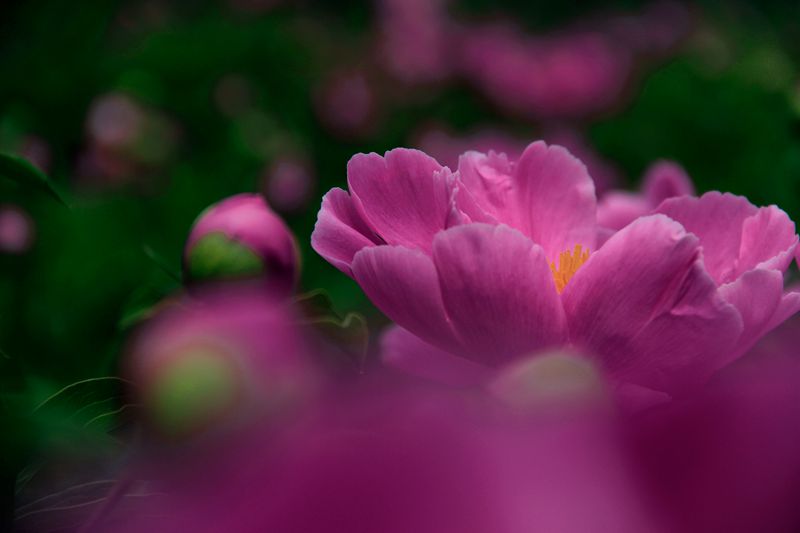_MG_5853.jpg