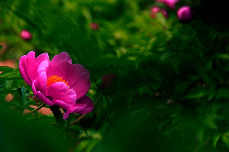 _MG_5913.jpg