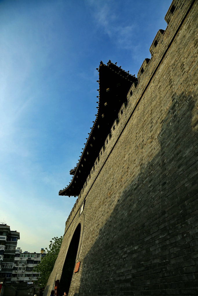 5L9A0008-_副本.jpg