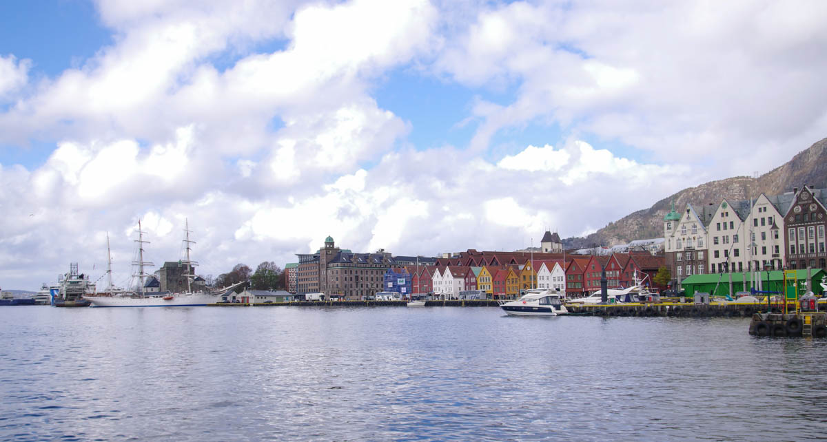IMGP3509.jpg