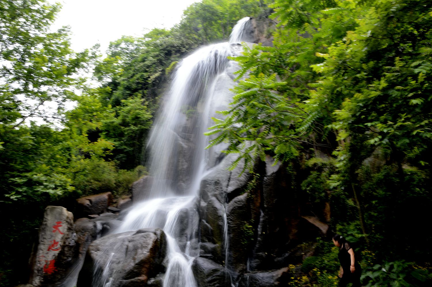 _DSC0060.JPG