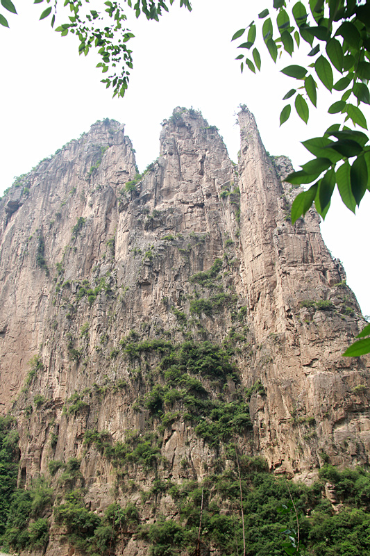IMG_5135_副本.jpg