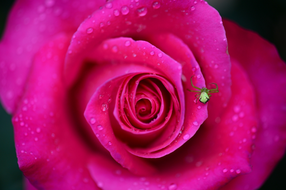 DSC_5101.jpg