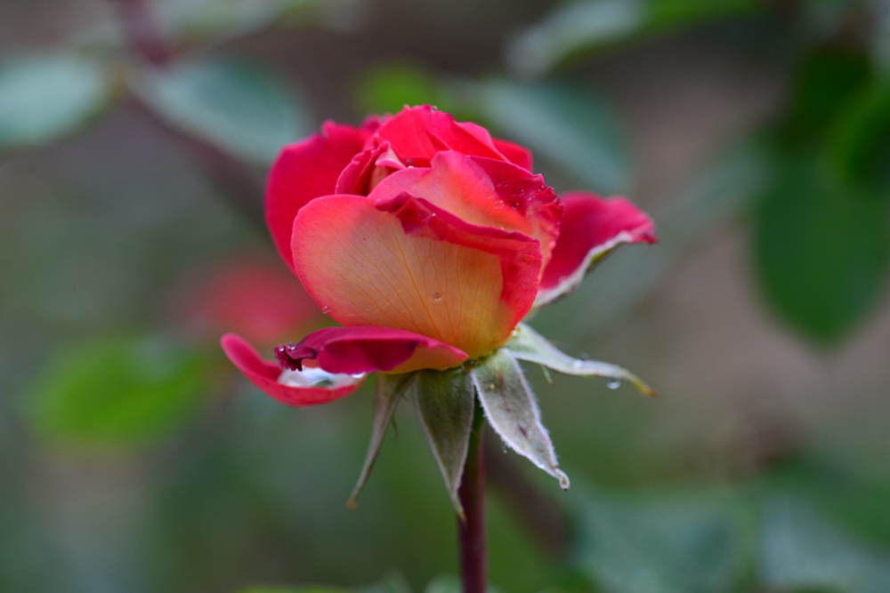 DSC_5149.jpg
