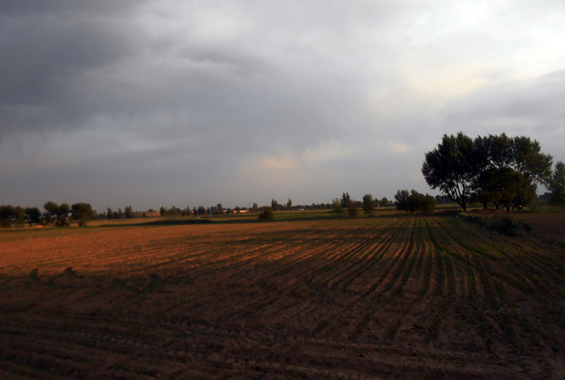 DSCN9034.JPG