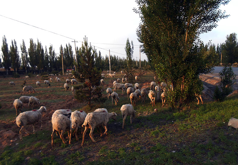 DSCN9039.JPG