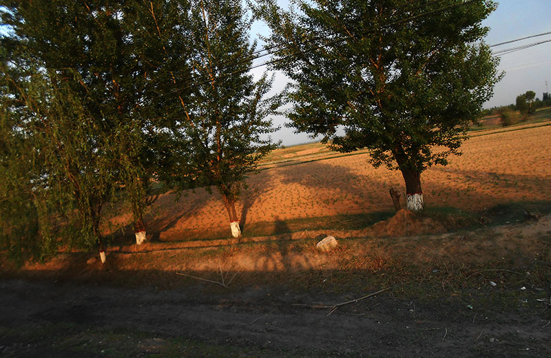 DSCN9043.JPG