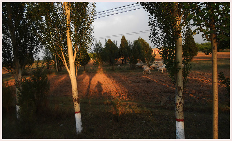 DSCN9045.JPG