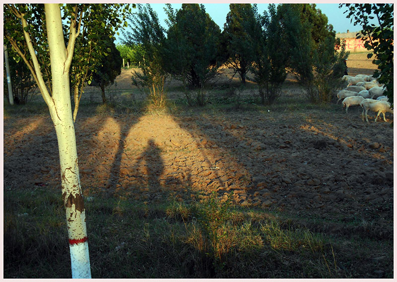 DSCN9046.JPG