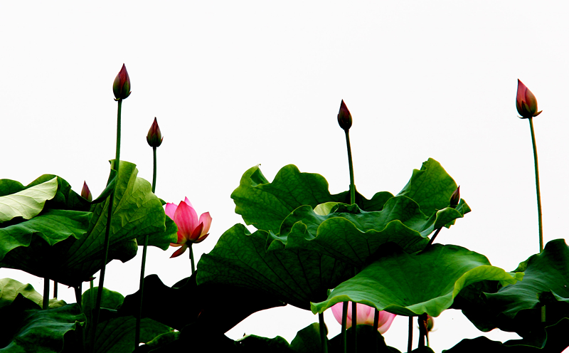 IMG_4183-2_副本.jpg