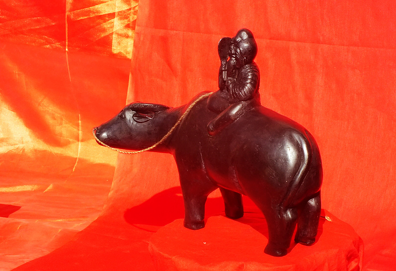 3DSCF6520.jpg