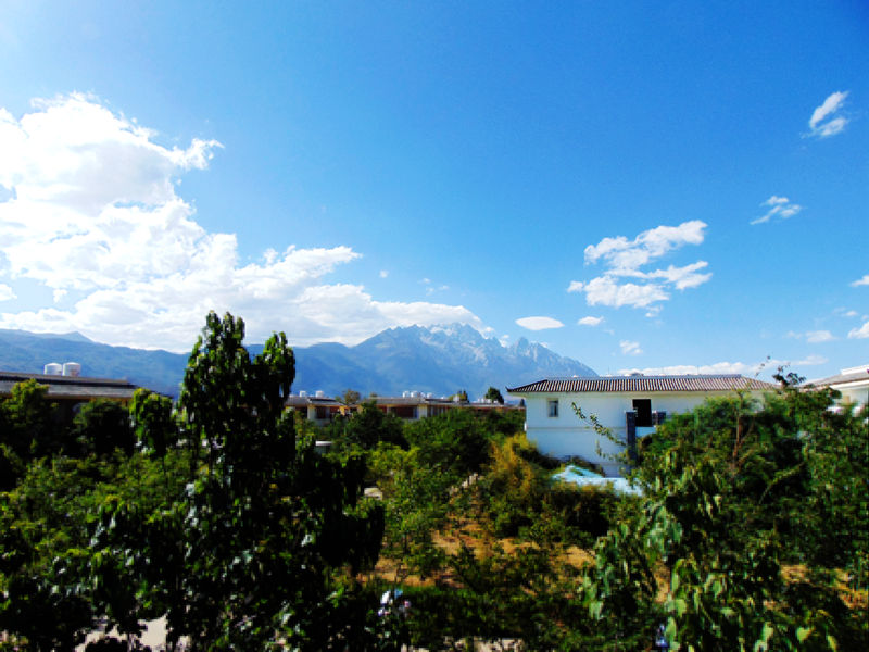 DSC01262_副本.jpg