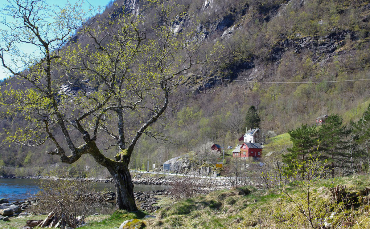 IMGP3687.jpg