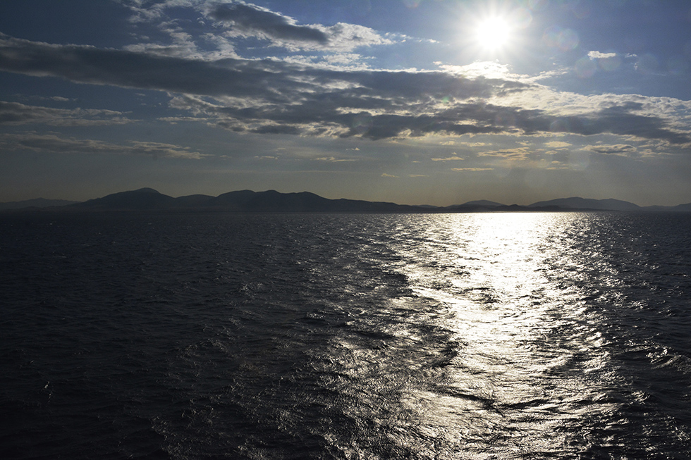 _DSC8571.jpg