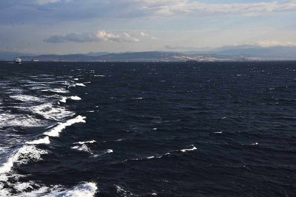 _DSC8572.jpg