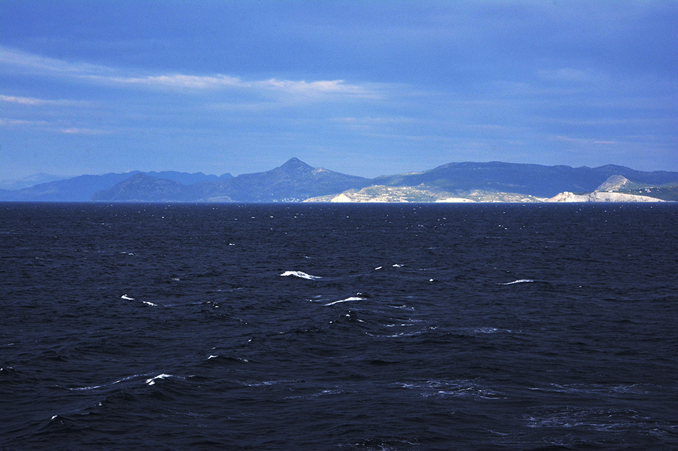 _DSC8591.jpg