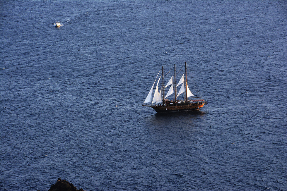 _DSC9135.jpg