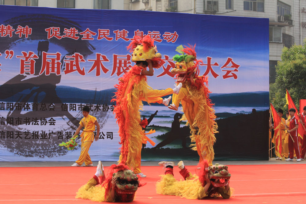 信阳武术表演 (8).JPG