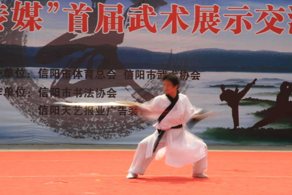 信阳武术交流 (10).JPG