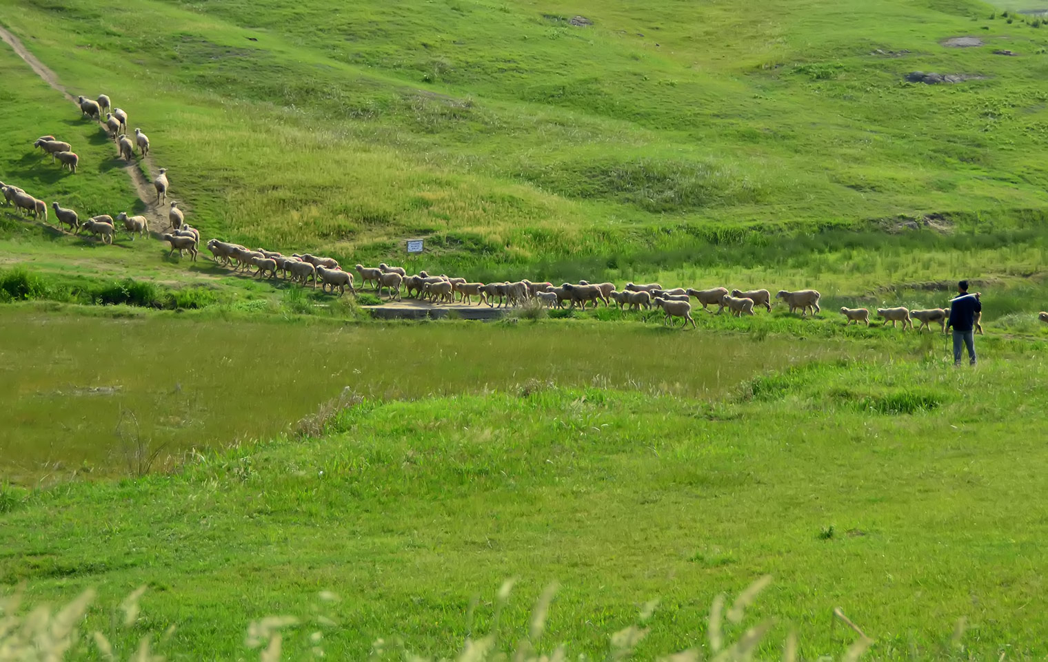 DSC_1569.jpg