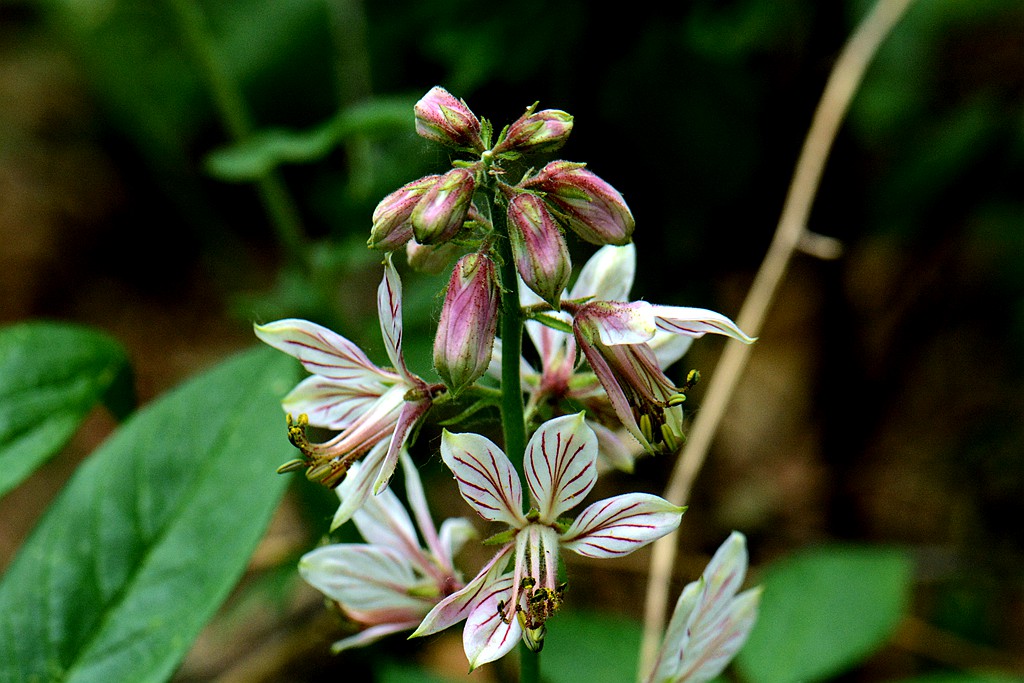 DSC_5464_副本.jpg